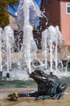 Market fountain detail with frog and fountain