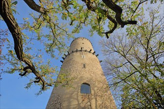 View up to the tower of the Godesburg