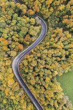 Winding road through a colourful forest in autumn