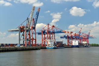 Container ships being handled at the Container Terminal Hamburg