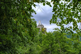 Distant view of Lichtenstein Castle