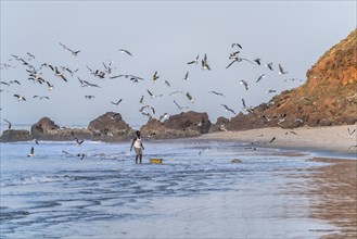 Seagulls and fishermen on the beach