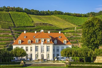 Listed baroque castle Wackerbarth in front of part of the also protected Historic Vineyard Landscape Radebeul