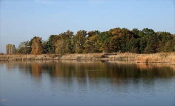 Autumn at a pond near Linum