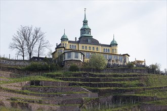 Spitzhaus Radebeul