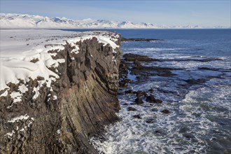 Basalt cliff in the snow in winter along the coast near Arnarstapi