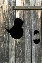 Silhouette of a chick and its shell on a wooden door