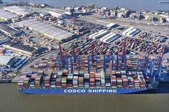 Container Terminal Tollerort with a Cosco container ship