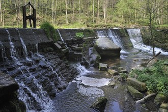Weir on small stream creating little waterfall and offering ideal nesting place for European White-throated Dipper