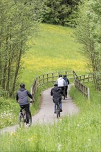 Cyclists riding on a cycle path through a meadow in a forest with a bridge
