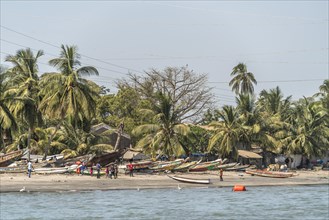 Coconut palms and fishing boats on the beach of the capital Banjul