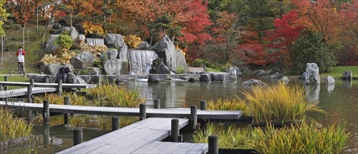 Tourists walking along pond with waterfall and Smooth Japanese maples