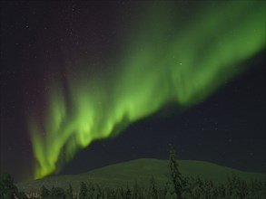 Northern Lights over Pallas-Yllaestunturi National Park