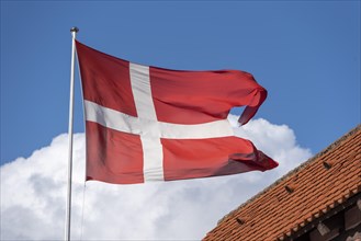 Danish flag in front of white cloud
