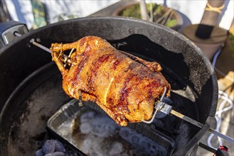 Grilled goose for St. Martin's Day