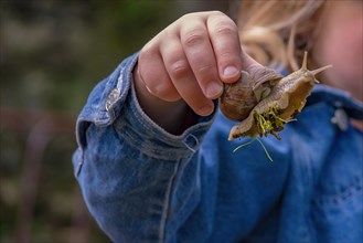 A preschool child proudly holds a snail with plant debris stuck to its foot