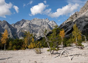 Autumn in Wimbachgries with a view of the Hochkalter
