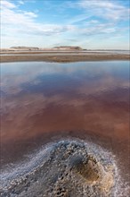 Salt farm in the village of Salin de Giraud near the mouth of the Grand Rhone. Regional nature park Park