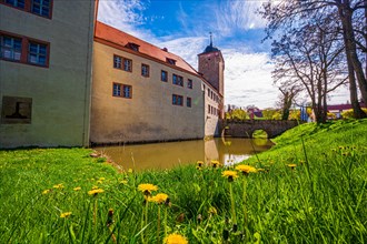 The moated castle of Kapellendorf with moat and common dandelion