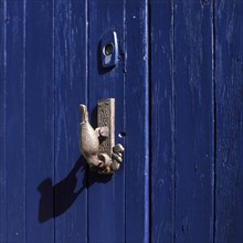 Woodpecker as a door knocker on a blue door