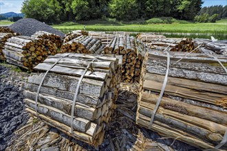 Split bundled firewood