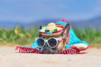 Adorable French Bulldog dog dressed up with sunglasses