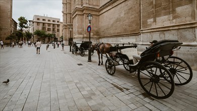 Horse drawn carriage in front of a church