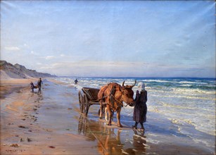 Coastal dwellers move along the beach with an ox cart looking for flotsam