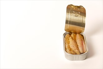 Closeup of an open can of mackerel in oil isolated on white background and copyspace