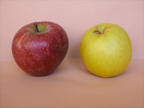 Red and yellow apple fruit