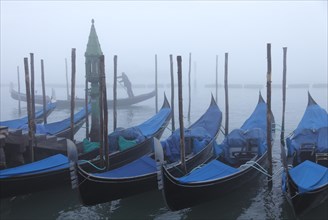 Moored gondolas at the Bacino di San Marco in the morning mist