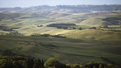 Tuscan landscape near Orciatico