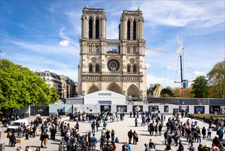 Notre-Dame de Paris Cathedral with forecourt