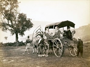 Turkish family going out in a carriage pulled by oxen