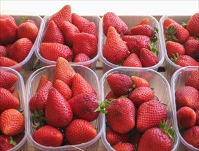 Strawberries in fruitbox