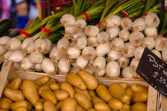 Vegetables at the market of L'Isle-sur-la-Sorgue