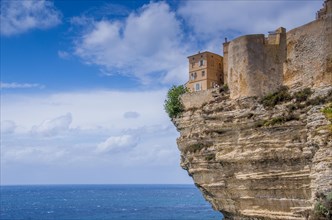 The cliffs of Bonifacio on a summer day