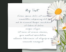 Daisy flowers over paper text card