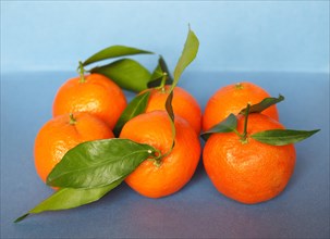 Tangerine fruit food