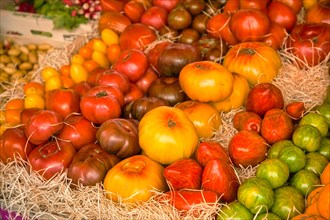 Tomatoes at the market of L'Isle-sur-la-Sorgue