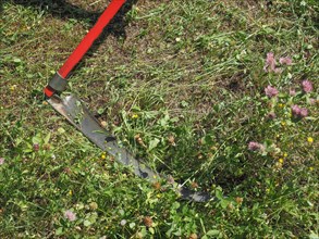Sickle for grass cutting