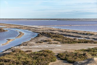 Salt farm in the village of Salin de Giraud near the mouth of the Grand Rhone. Regional nature park Park