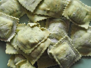 Vegetarian agnolotti with ricotta cheese and herbs