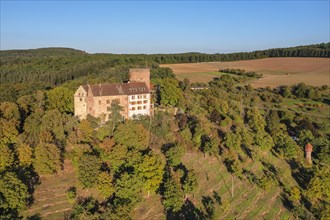 Gamburg Castle