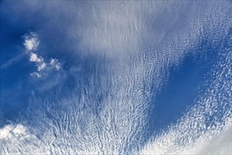Cirrocumulus in blue sky