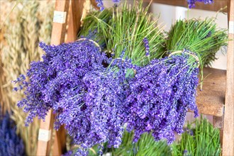 Bouquet of lavender at market