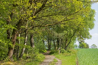 Hiking trail