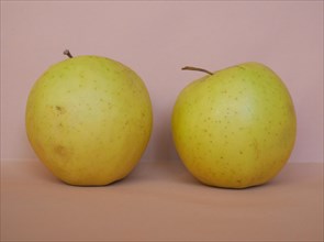 Yellow apple fruits