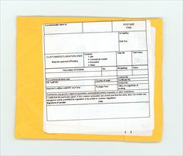 Blank customs declaration label