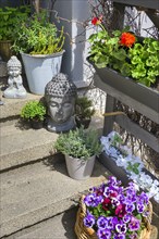 Spring flowers and Buddha figures on stone steps